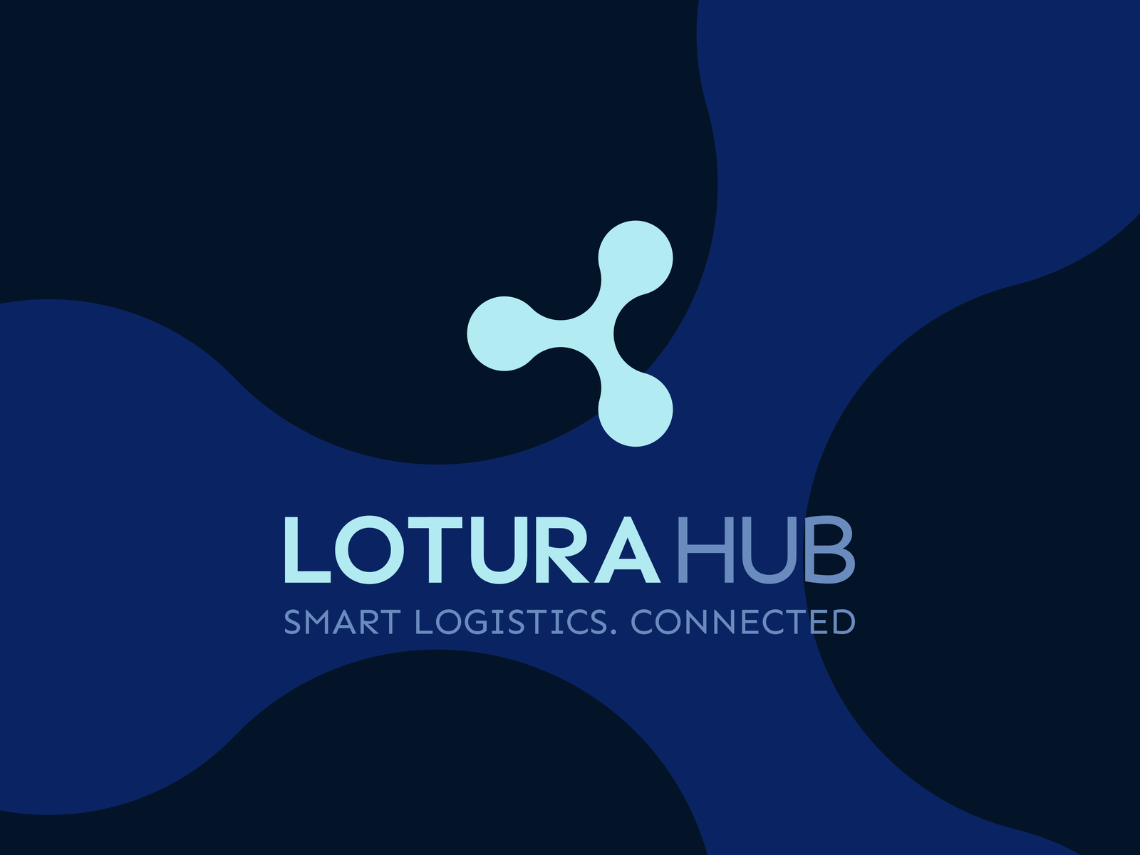 Lotura Hub